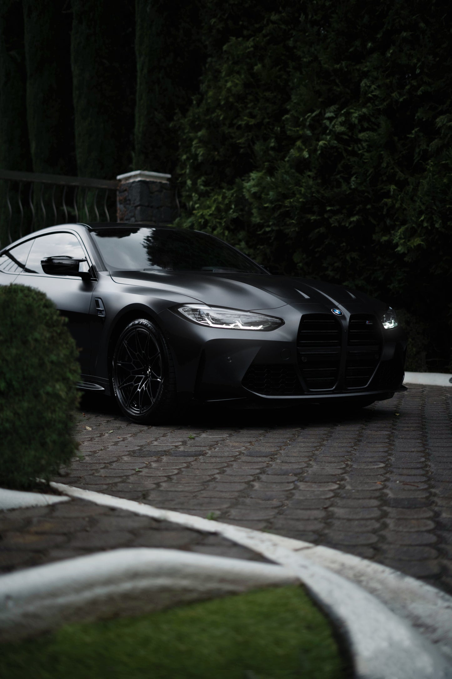 BMW Radkappennaben in Schwarz